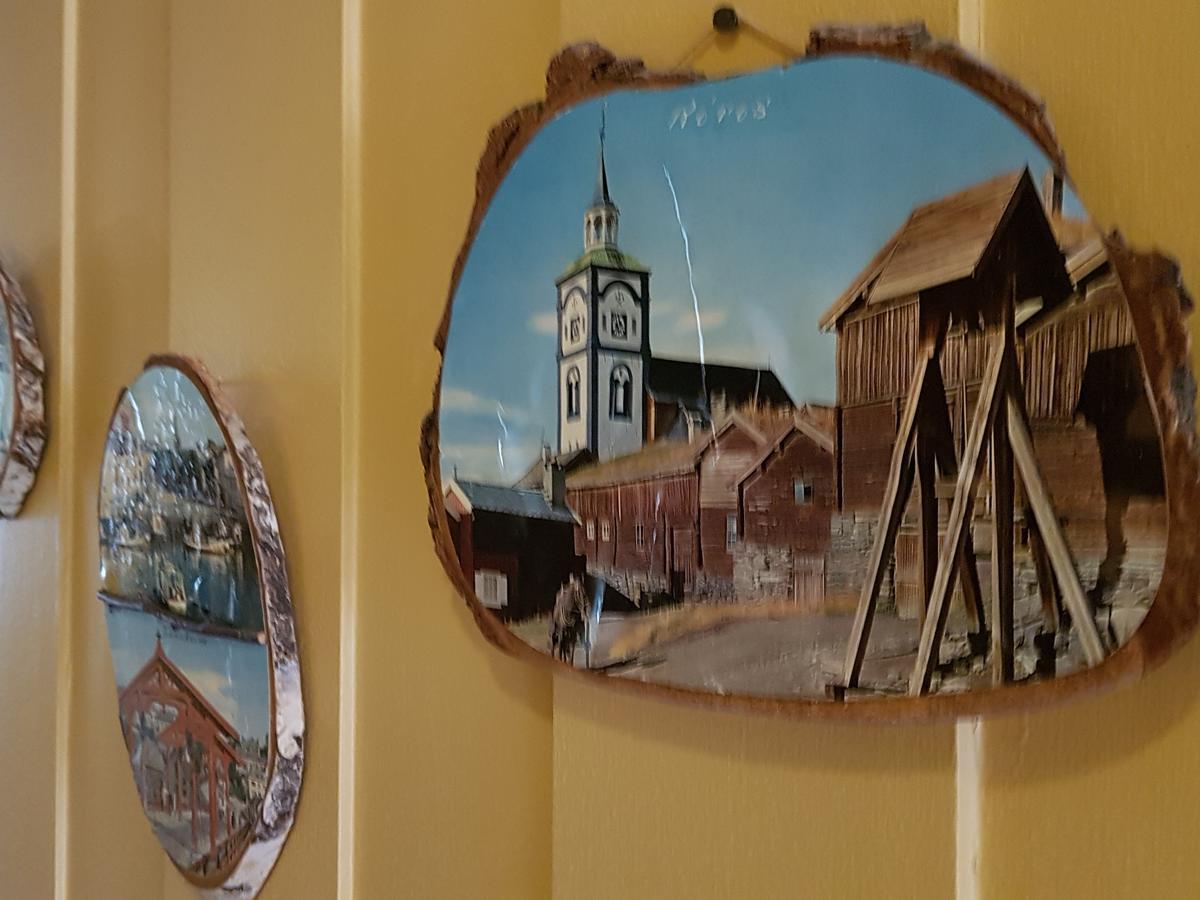 Solheim Pensjonat Røros Exteriér fotografie